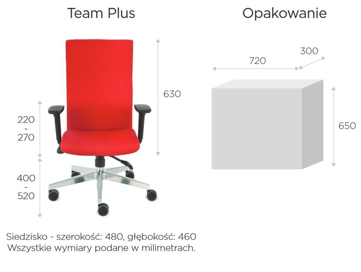 Team-Plus-wymiary